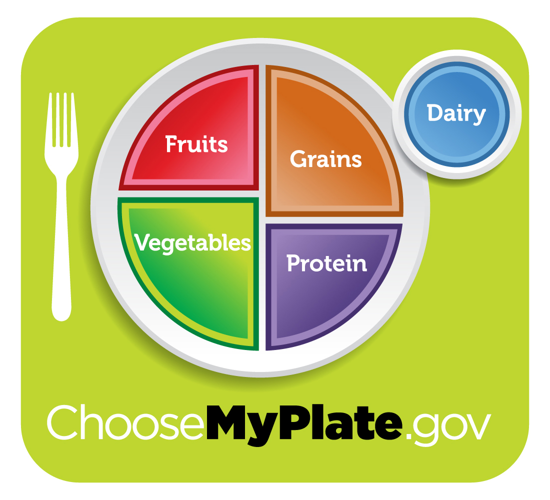 The USDA My Plate Basic Food Groups updated from the food pyramid